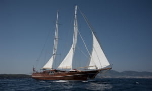 लिस्टिंग