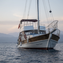 Bogac Kaptan: Gulet Yacht Charter Göcek, Fethiye